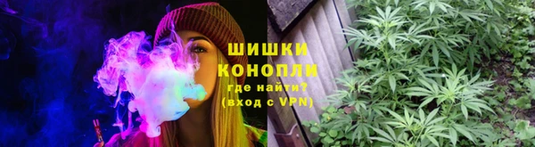 гидра Наволоки