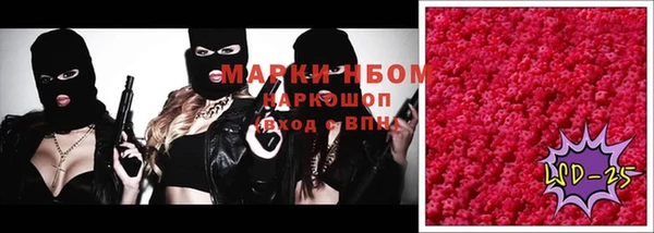 гидра Наволоки
