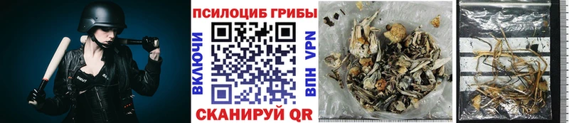 Псилоцибиновые грибы GOLDEN TEACHER  МЕГА ONION  Любань 